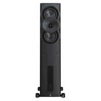 Напольная акустическая система Perlisten A3t Black Matte